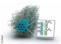 Blockcopolymer-Mizellisierung als Schutzstrategie für DNA-Origami